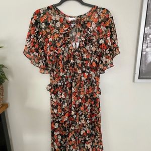 Misa Designer Sheer Dress